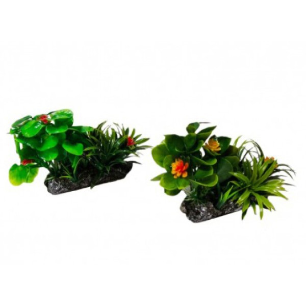 ΔΙΑΚΟΣΜΗΤΙΚΟ ΦΥΤΟ ΕΝΥΔΡΕΙΟΥ 12CM